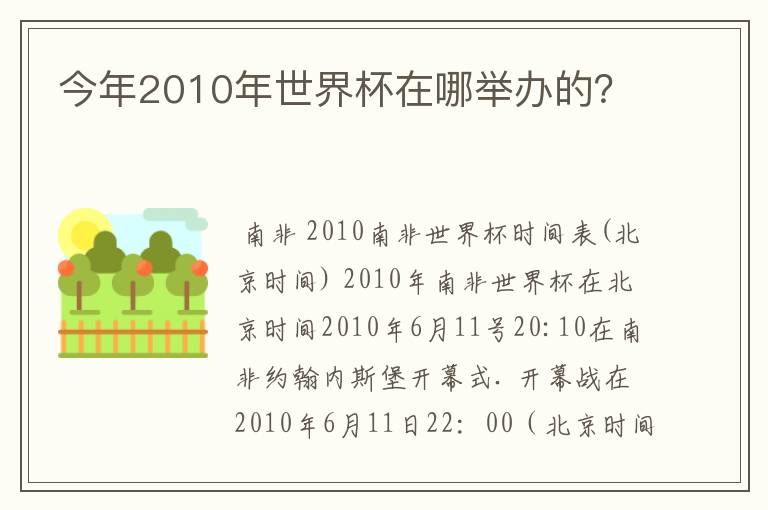 今年2010年世界杯在哪举办的？