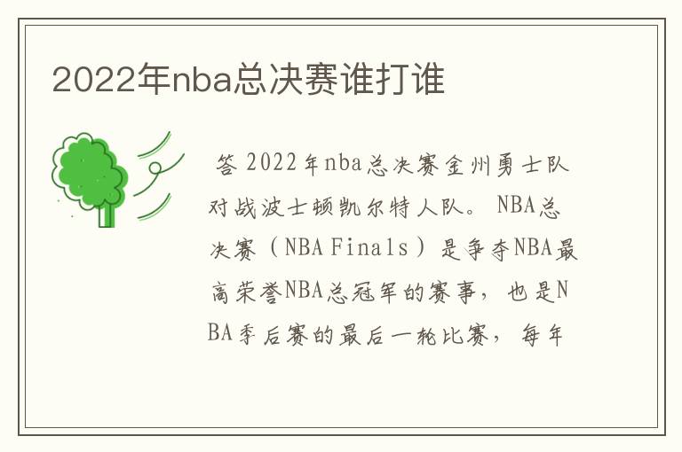 2022年nba总决赛谁打谁