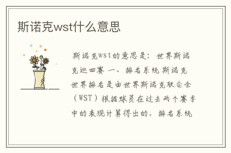 斯诺克wst什么意思