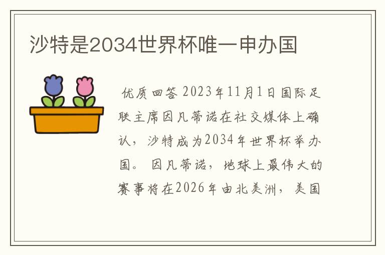 沙特是2034世界杯唯一申办国