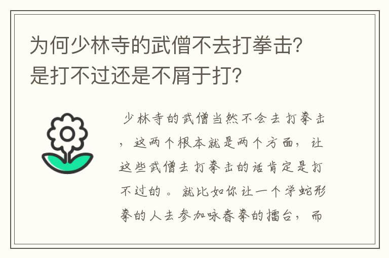 为何少林寺的武僧不去打拳击？是打不过还是不屑于打？