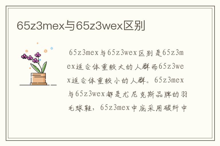 65z3mex与65z3wex区别