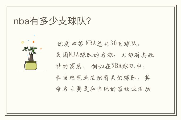 nba有多少支球队？