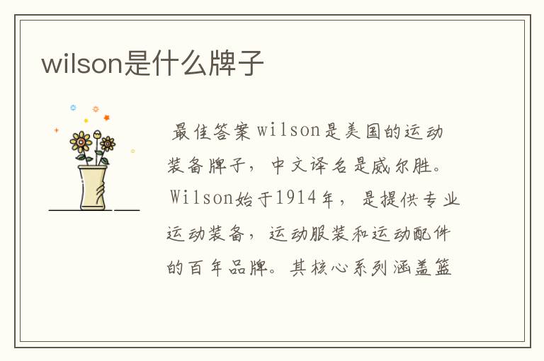 wilson是什么牌子