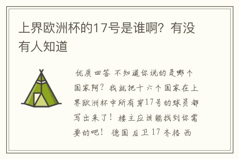 上界欧洲杯的17号是谁啊？有没有人知道