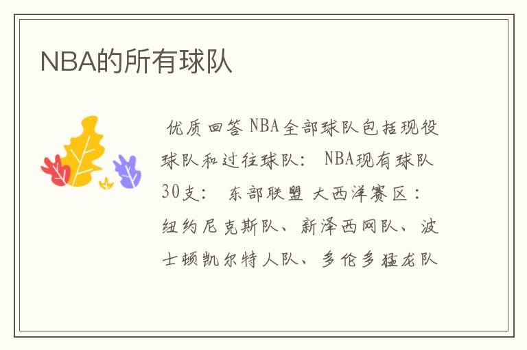 NBA的所有球队