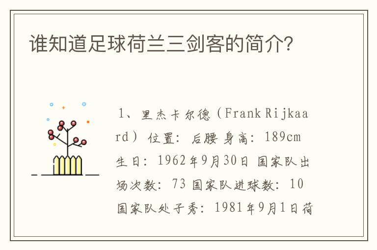 谁知道足球荷兰三剑客的简介？