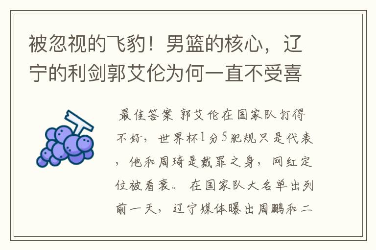 被忽视的飞豹！男篮的核心，辽宁的利剑郭艾伦为何一直不受喜欢？