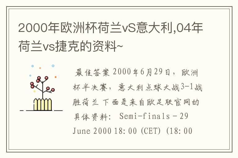 2000年欧洲杯荷兰vS意大利,04年荷兰vs捷克的资料~