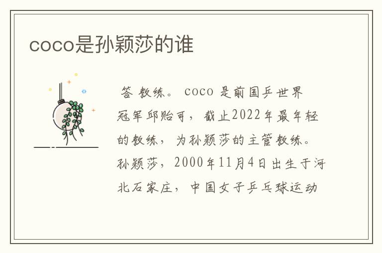 coco是孙颖莎的谁