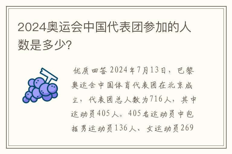 2024奥运会中国代表团参加的人数是多少？