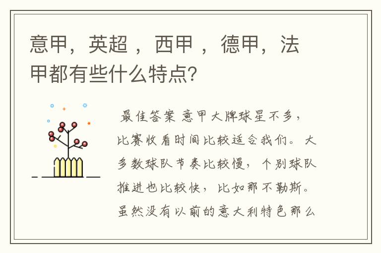 意甲，英超 ，西甲 ，德甲，法甲都有些什么特点？