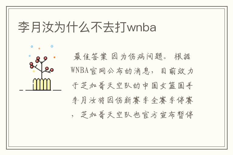 李月汝为什么不去打wnba