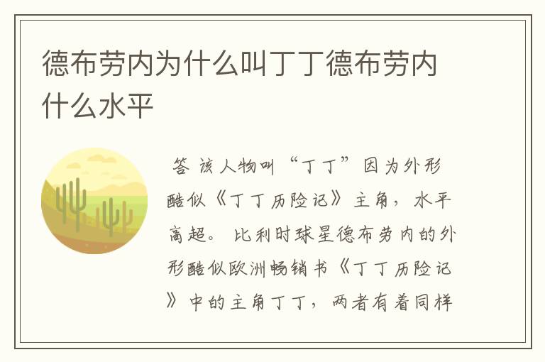 德布劳内为什么叫丁丁德布劳内什么水平