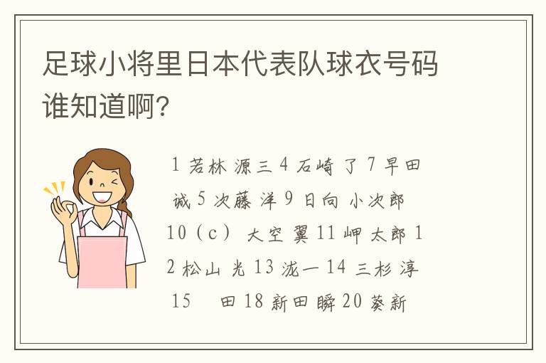 足球小将里日本代表队球衣号码谁知道啊?