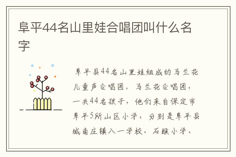 阜平44名山里娃合唱团叫什么名字