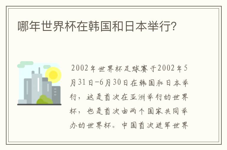 哪年世界杯在韩国和日本举行？