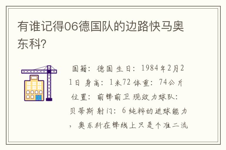 有谁记得06德国队的边路快马奥东科？