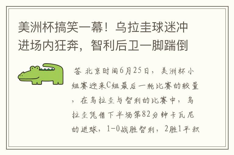 美洲杯搞笑一幕！乌拉圭球迷冲进场内狂奔，智利后卫一脚踹倒