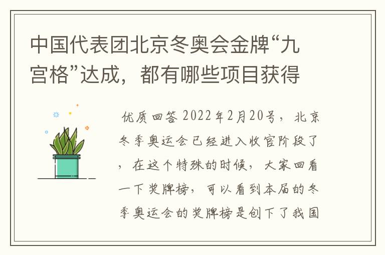 中国代表团北京冬奥会金牌“九宫格”达成，都有哪些项目获得了奖牌？