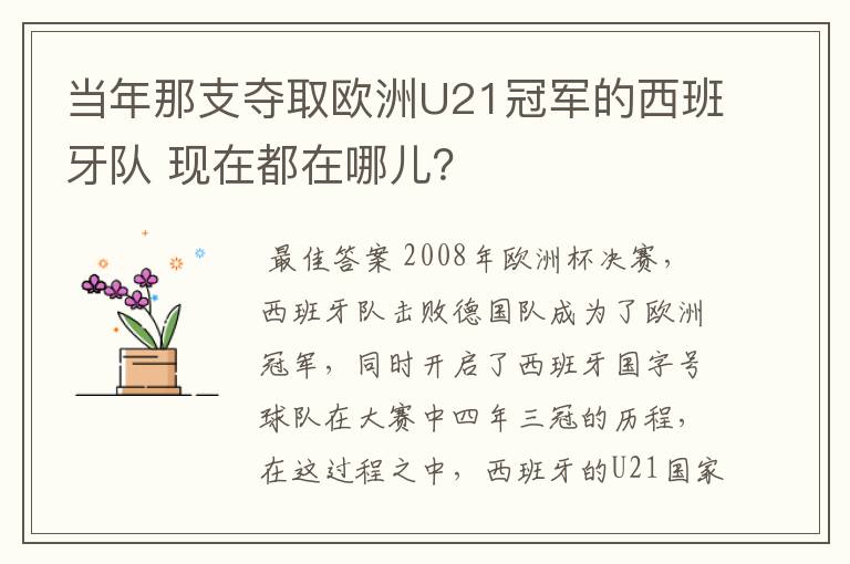 当年那支夺取欧洲U21冠军的西班牙队 现在都在哪儿？