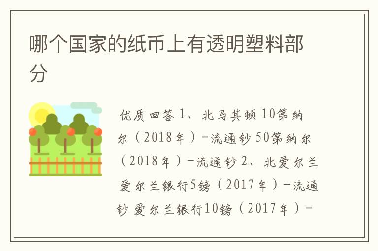 哪个国家的纸币上有透明塑料部分