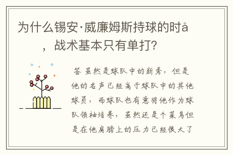 为什么锡安·威廉姆斯持球的时候，战术基本只有单打？