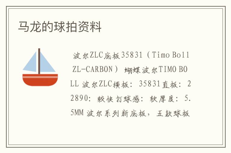 马龙的球拍资料