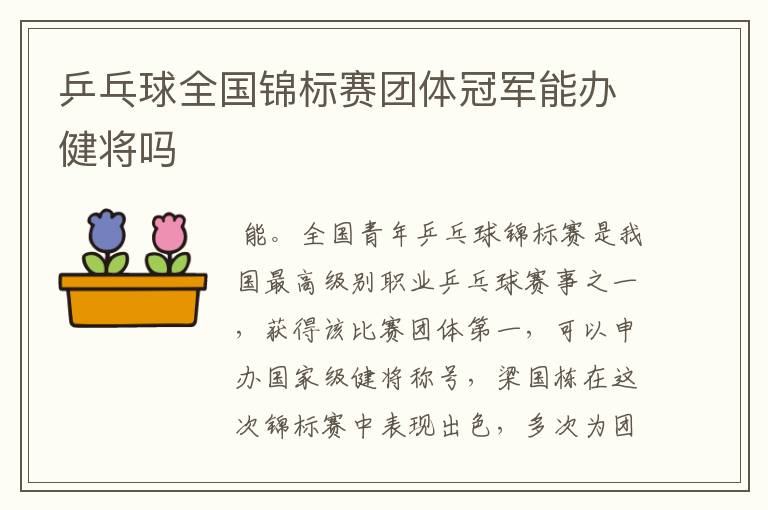 乒乓球全国锦标赛团体冠军能办健将吗