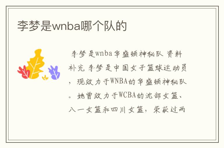 李梦是wnba哪个队的