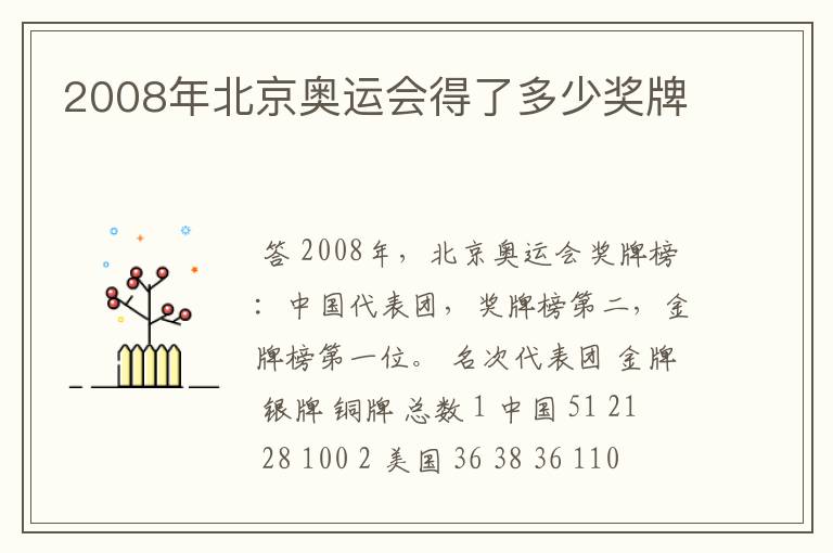 2008年北京奥运会得了多少奖牌