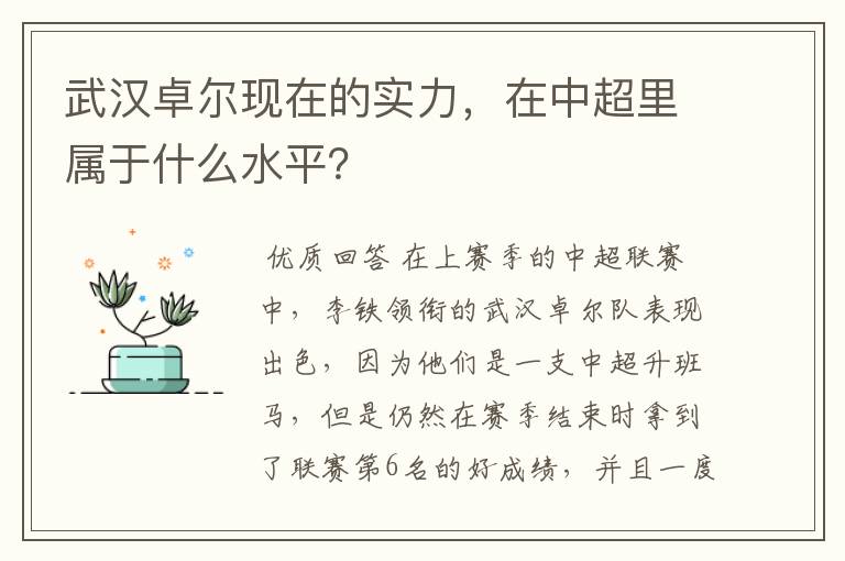 武汉卓尔现在的实力，在中超里属于什么水平？