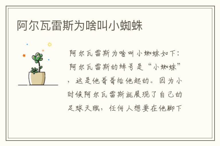 阿尔瓦雷斯为啥叫小蜘蛛