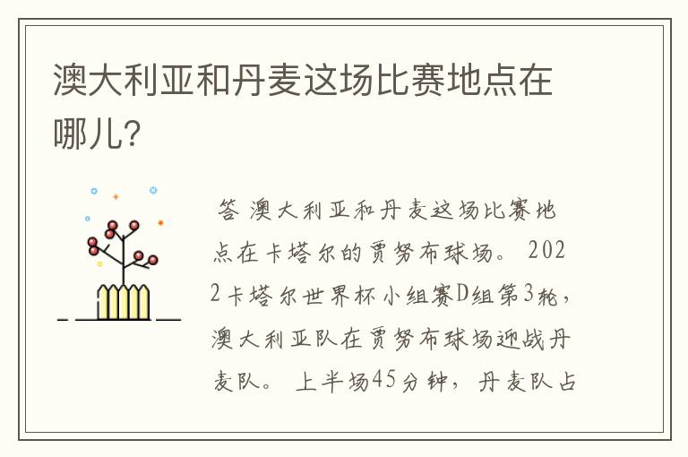 澳大利亚和丹麦这场比赛地点在哪儿？