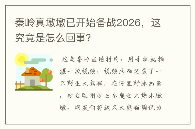 秦岭真墩墩已开始备战2026，这究竟是怎么回事？