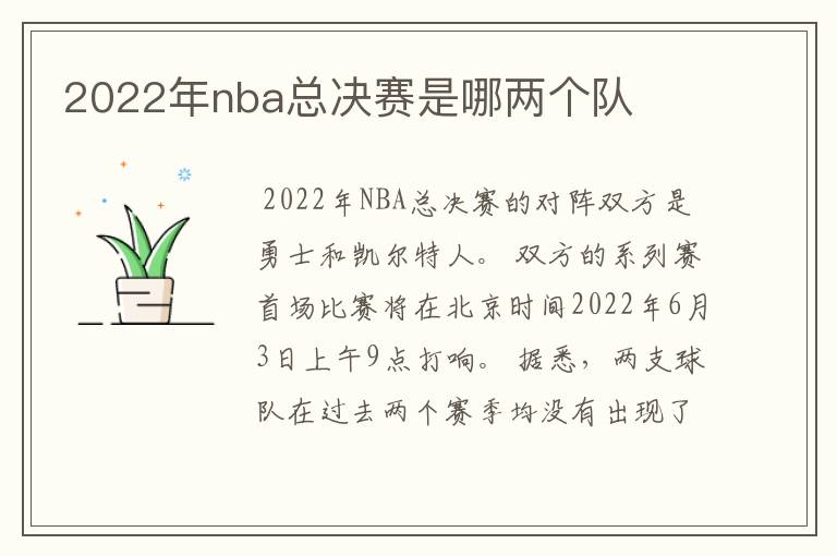 2022年nba总决赛是哪两个队