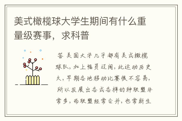 美式橄榄球大学生期间有什么重量级赛事，求科普