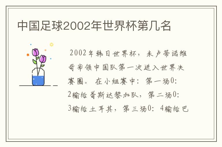 中国足球2002年世界杯第几名