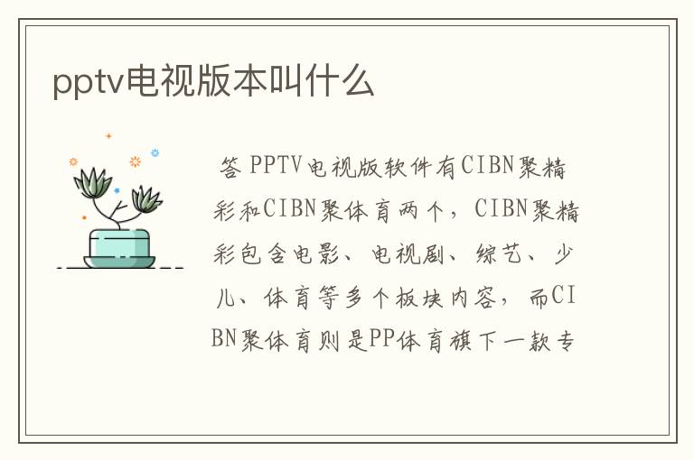 pptv电视版本叫什么