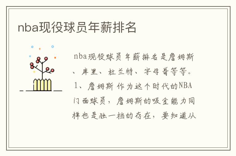 nba现役球员年薪排名