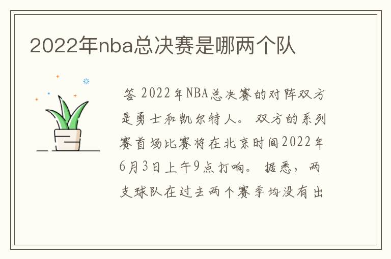 2022年nba总决赛是哪两个队