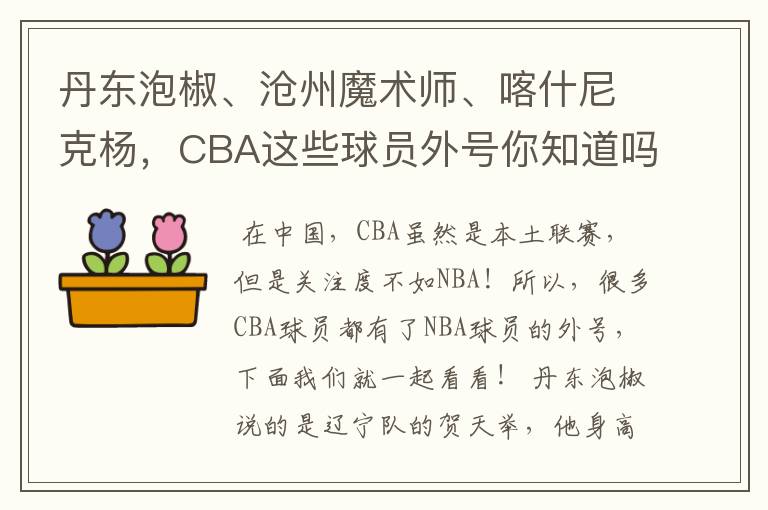 丹东泡椒、沧州魔术师、喀什尼克杨,CBA这些球员外号你知道吗 ?