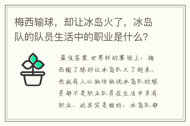 梅西输球，却让冰岛火了，冰岛队的队员生活中的职业是什么？