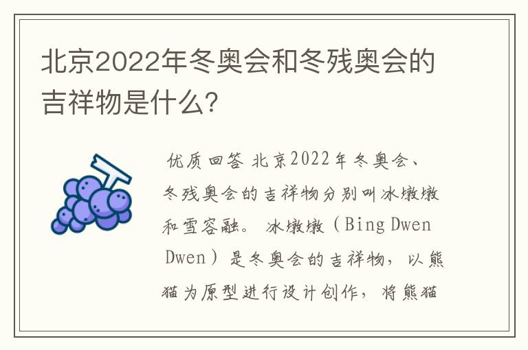 北京2022年冬奥会和冬残奥会的吉祥物是什么？