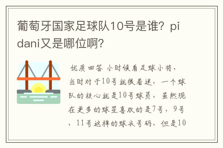 葡萄牙国家足球队10号是谁？pidani又是哪位啊？