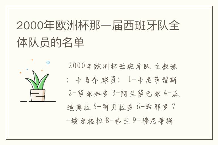 2000年欧洲杯那一届西班牙队全体队员的名单