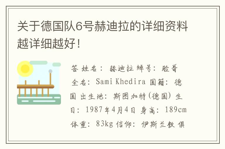 关于德国队6号赫迪拉的详细资料越详细越好！