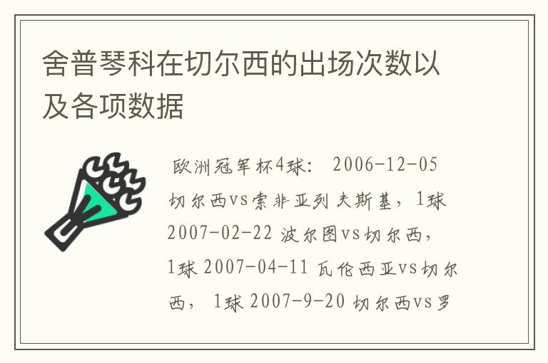 舍普琴科在切尔西的出场次数以及各项数据