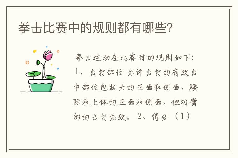 拳击比赛中的规则都有哪些？