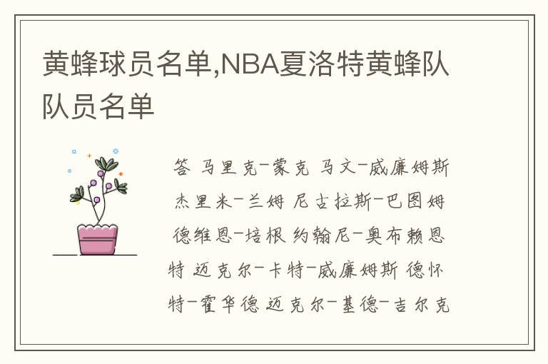 黄蜂球员名单,NBA夏洛特黄蜂队队员名单